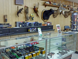 Gun Scope